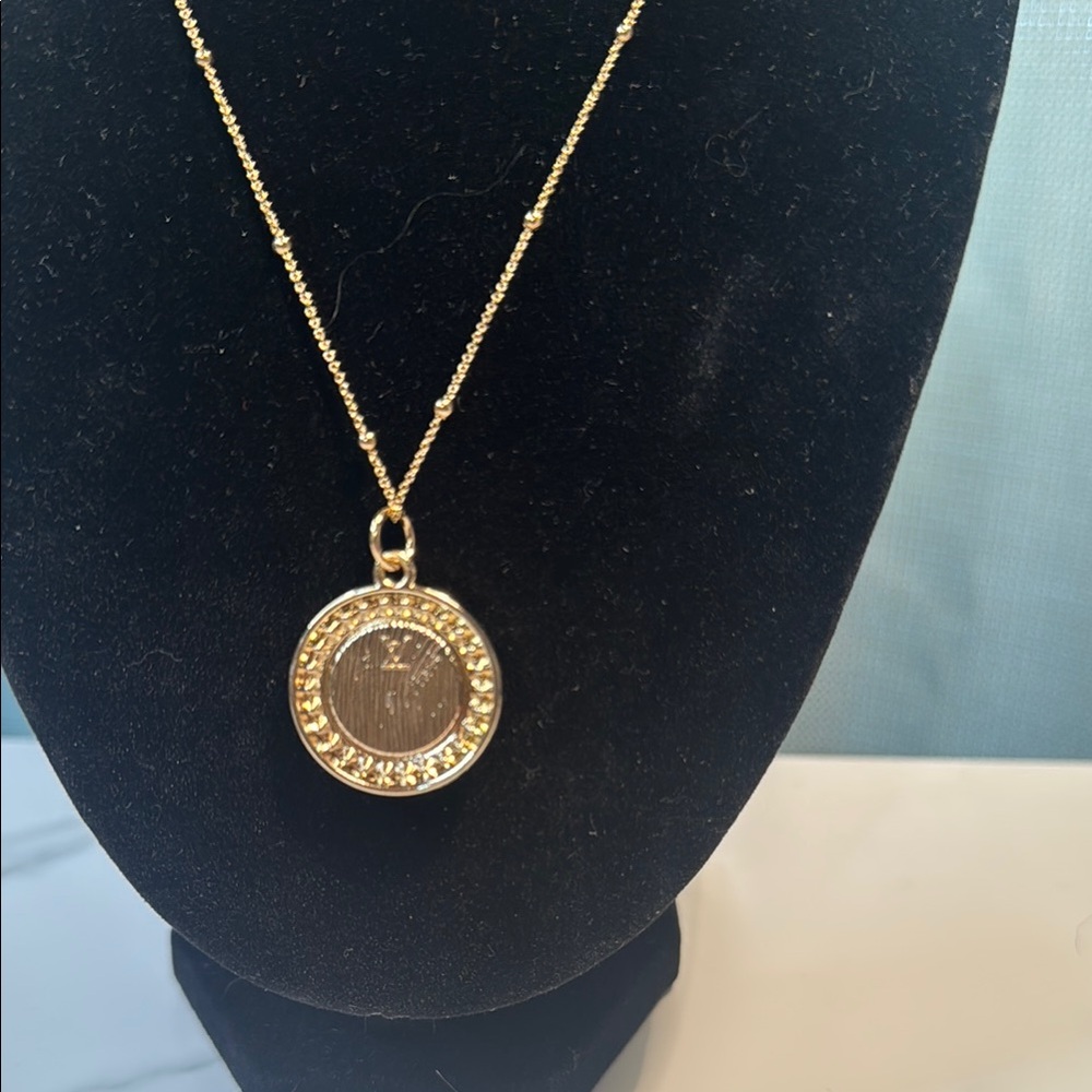 Elegant LV Gold and Pink Trunk Pendant on Betsy Johnson Adjustable Necklace - Picture 3 of 5